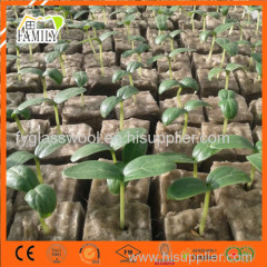 Greenhouse Seedling Growing Substrate Hydroponic Rockwool Cube for Agriculture