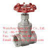 Screwed Gate Valve 200PSI