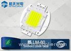 Higher Light Efficacy 50W LED Array COB LEDs for Flood Lamp with Good Quality