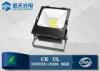 Waterproof IP65 White LED Flood Lights 100w with Epistar LED Chips