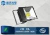 Aluminum Alloy Housing 50W LED Flood Lights for Park / Tunnel / Road Lighting