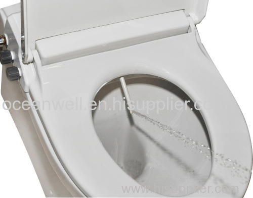 Simple Bidet Toilet Seat With Cold Water