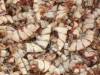 Dried Shrimp Shell Dried Crab Shell Fishmeal