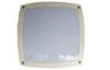 Dimmable Outdoor Surface Mounted LED Ceiling Light IK10 CRI 75 SP - MLCG270 - 10