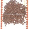 Floating Fish Feed Pellet