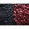 White kidney beans and other beans types