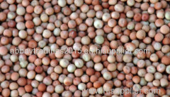 Hazelnuts/ pistachio nuts / Walnuts/ whole Cashew nuts/ Pine nuts /and other nuts for sale