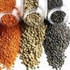 Lentils at very moderate prices.