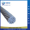 High Voltage Aluminum Conductor Steel Core Cable 50mm2 ACSR Rabbit Conductor for Overhead