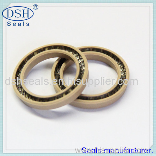 PTFE spring energized seals