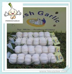 Organic Chinese Fresh Garlic 10kg/mesh bag