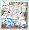 Wholesale 2016 Fresh Chinese White Garlic