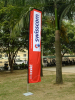 Flying flags Rectangular banner