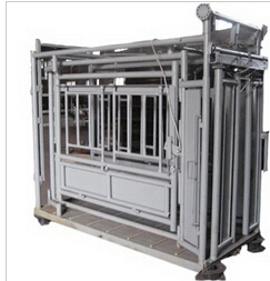 live stocks cattle chute for sale