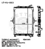 Auto Radiator For RENAULT RVI MAGNUM (05-)