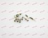 Stainless Steel Phillips Self Align Eyewear Screw