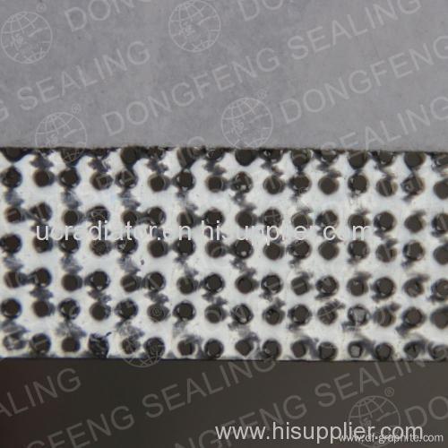reinforced graphite sheet with perforated S.S316L (The carbon content of 99%)