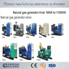 Gas generator and biomass gas generator