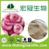 Onion PowderOnion PowderOnion Powder