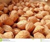 Blanched Apricot Seeds for sale