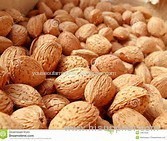 Blanched Apricot Seeds for sale
