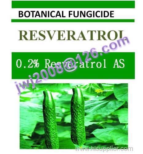 organic fungicide 0.2% Resveratrol AS botanical nature