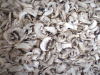 dehydrated mushroom champignon slices