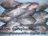 red tilapia black tilapia for sale