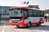 CCC Standard Gasoline Public City Bus 27 Seat With Trendy Headlamps / Rear Lamps