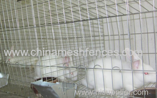 China Factory Commercial Farm Rabbit Cages