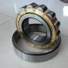 Single row cylindrical roller bearings