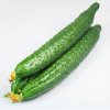 2016 Hot Sale Factory Price 100% Natural Cucumber Extract Powder/Cucumis Sativus Linn (YY26)