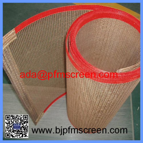 PTFE Coated Fiberglass Mesh Belt