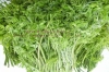Rich in Vitamins A B C 10:1 nature Moringa oleifera Extract/ Moringa oleifera Leaf Extract/moringa leaf extract powder