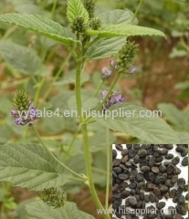 manufacture lowest price supply high quality Psoralea Corylifolia Extract
