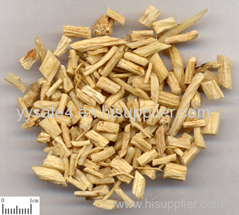 best selling products free sample Codonopsis Pilosula Extract 10:1/ Campanumaea pilosula/bastard ginseng