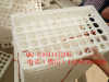 plastic egg tray for 60 chicken eggs