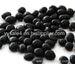 Factory Supply Organic 100% Natural and Healthy Black Bean Hull Extract Powder