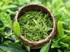 Natural ingredients High quality Pure Green tea extract EGCG Epigallocatechin gallate 98%