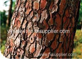 Direct sale High quality Anti-oxidation Proanthocyanidins(OPC) 95% Pine Bark P.E. Extract