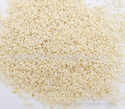 Factory Supply Free Sample High Quality white sesame seed extract