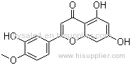 Factory Supply Pure Natural Citrus limon Burm Extract Diosmetin 98%HPLC