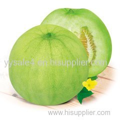 Top Quality 10:1 Cucumis Melo Extract/ Muskmelon Extract/Cucumis Melo Inodorus Fruit Extract