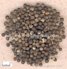 Bulk Supply 0.5% Agnuside 10:1Vitex Agnus Castus Extract/Fructus Viticis P.E. Chaste Berry Extract