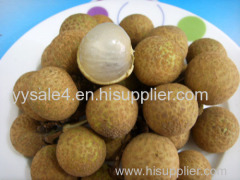 100% natural hot sale best price Longan Extract 10:1
