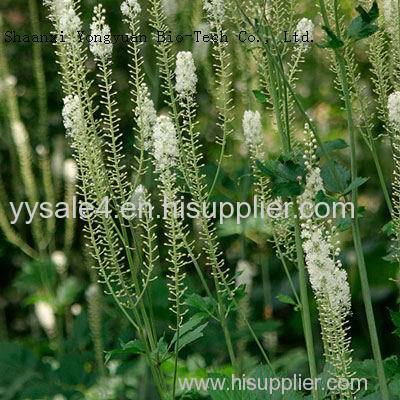 100% Natural plant extract Black Cohosh P.E. 27-deoxyactein≥2.5% 8%