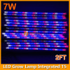 2ft 60cm LED grow lamp 7W