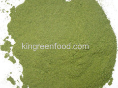 dehydrated spinach powder a grade