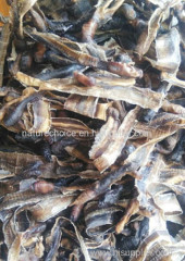 dry earthworm Pheretima aspergillum Pberetima Chinese Name:Dilong
