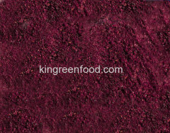 freeze dried blueberry powder